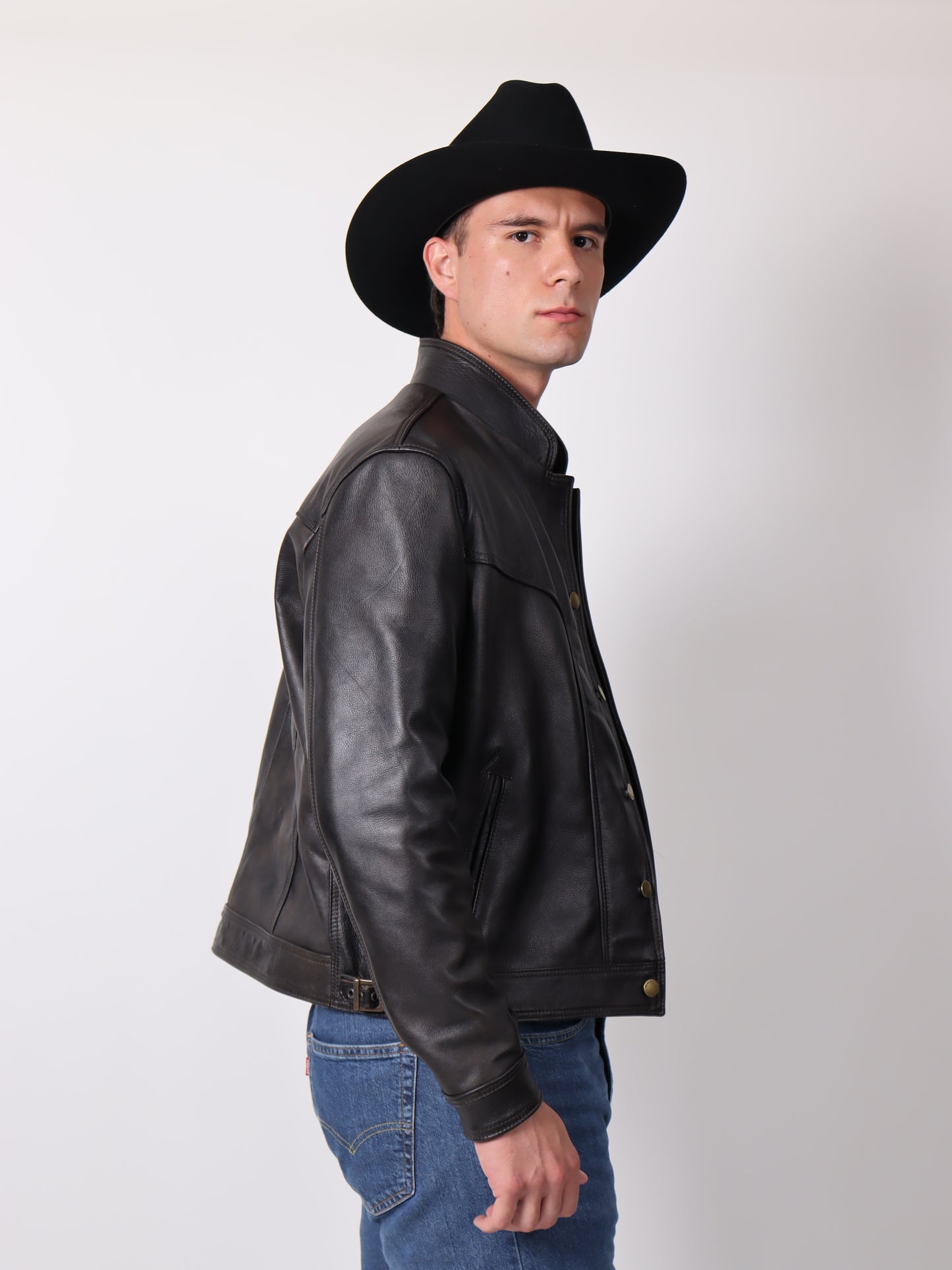 BISONTE