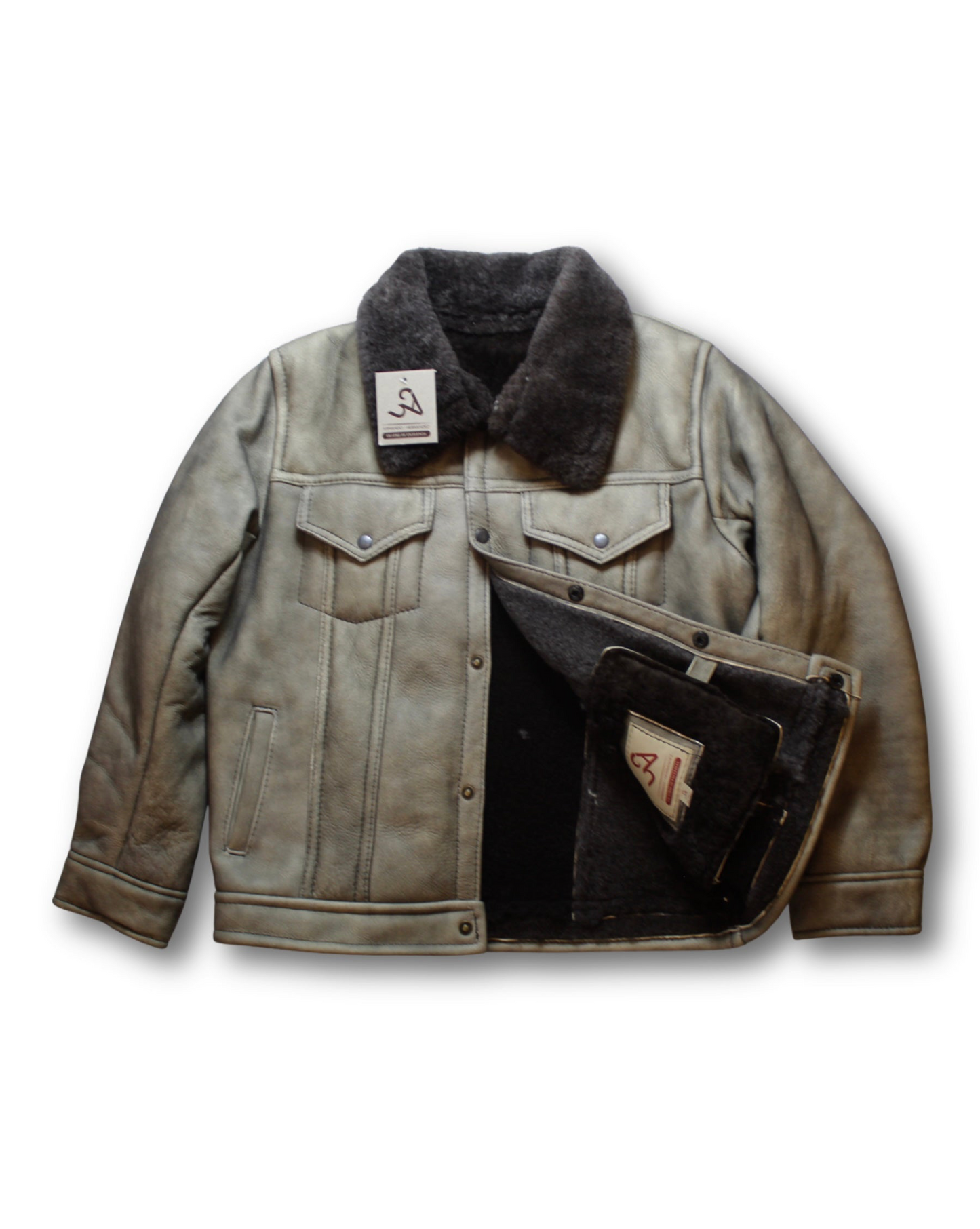 LEVI’S LOBO