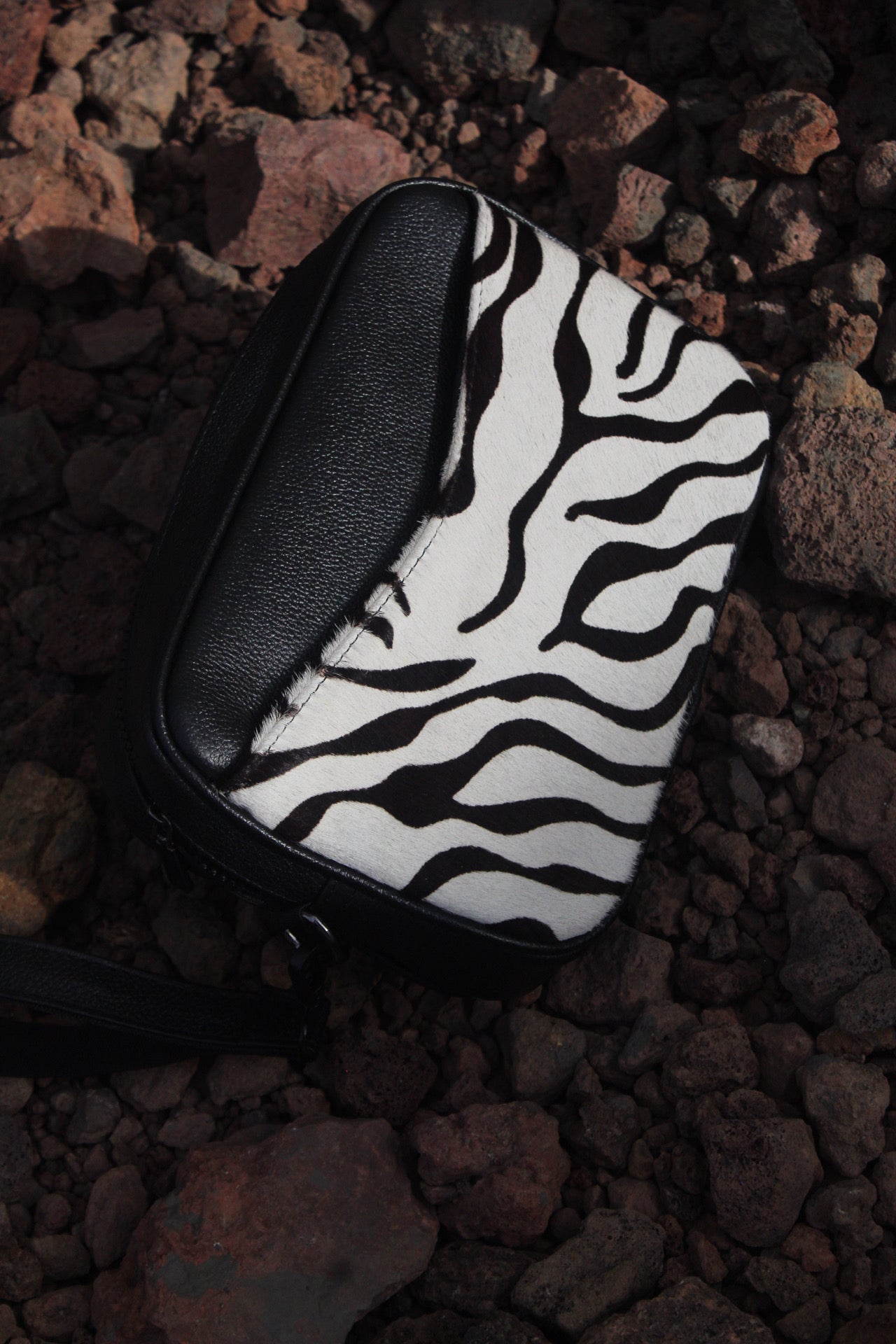 ÁFRICA ZEBRA