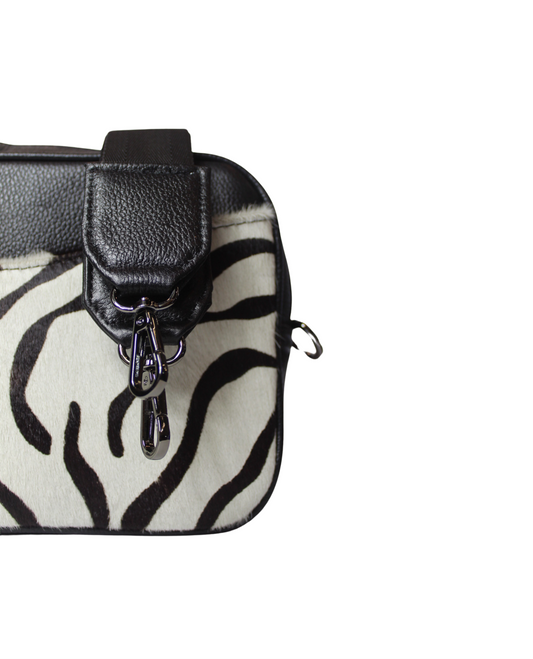 ÁFRICA ZEBRA